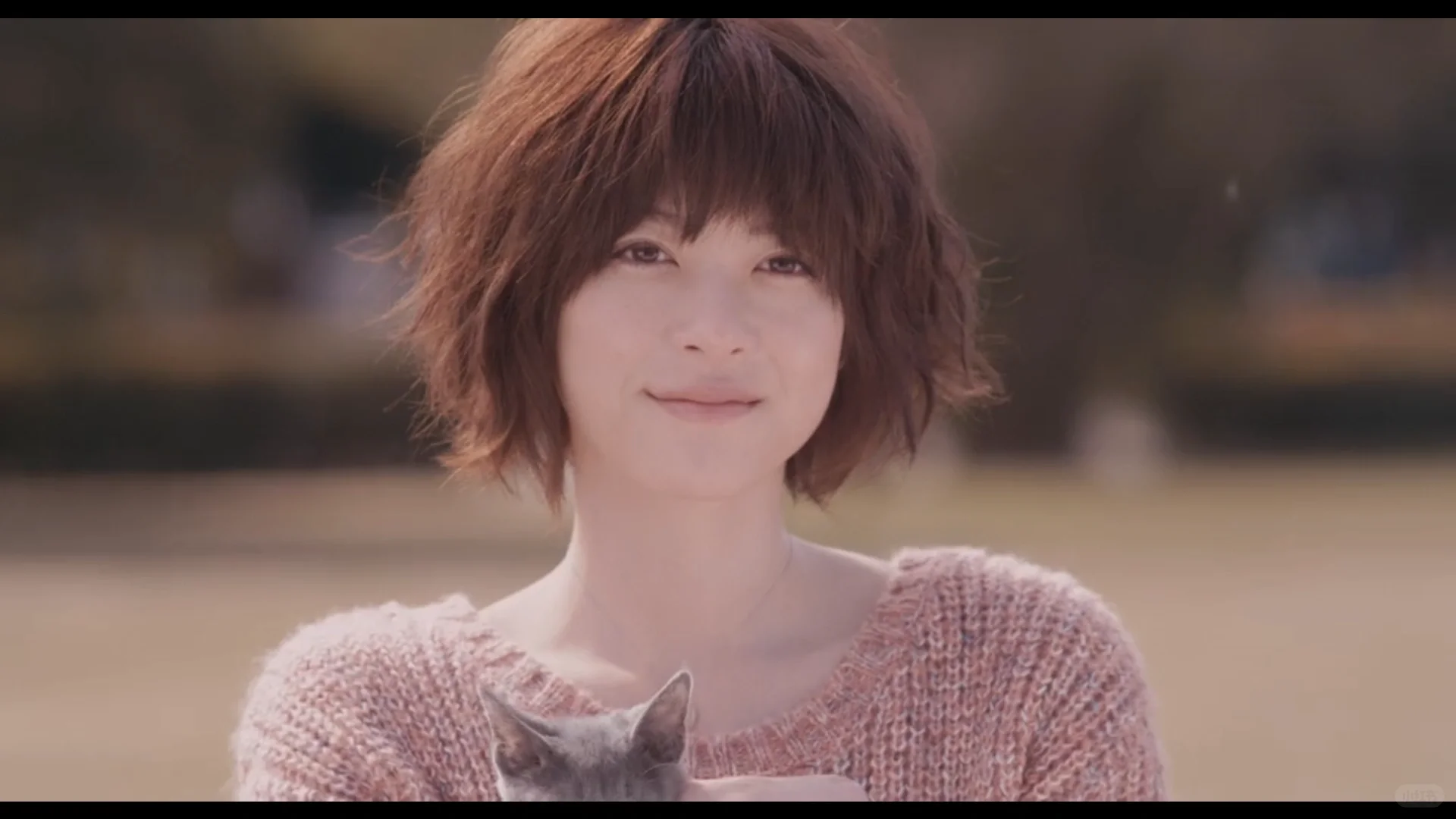 小日子的电影总能让人流点什么