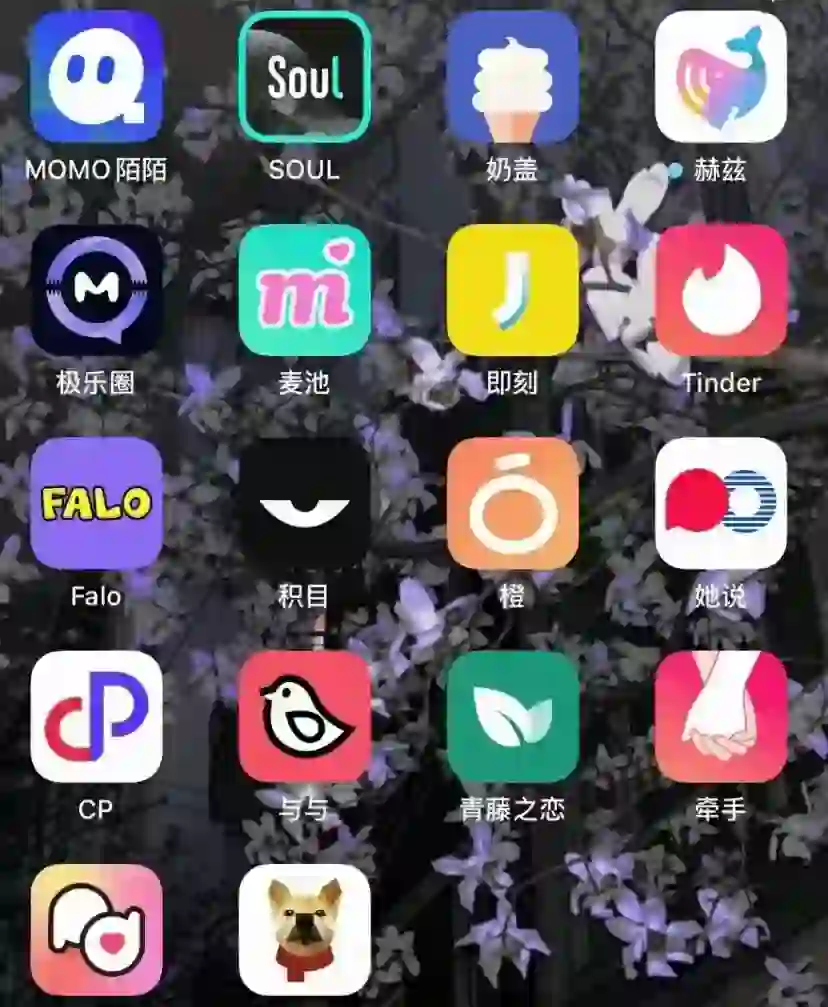 就没真正的社交软件嘛？那我可自己做一款喽