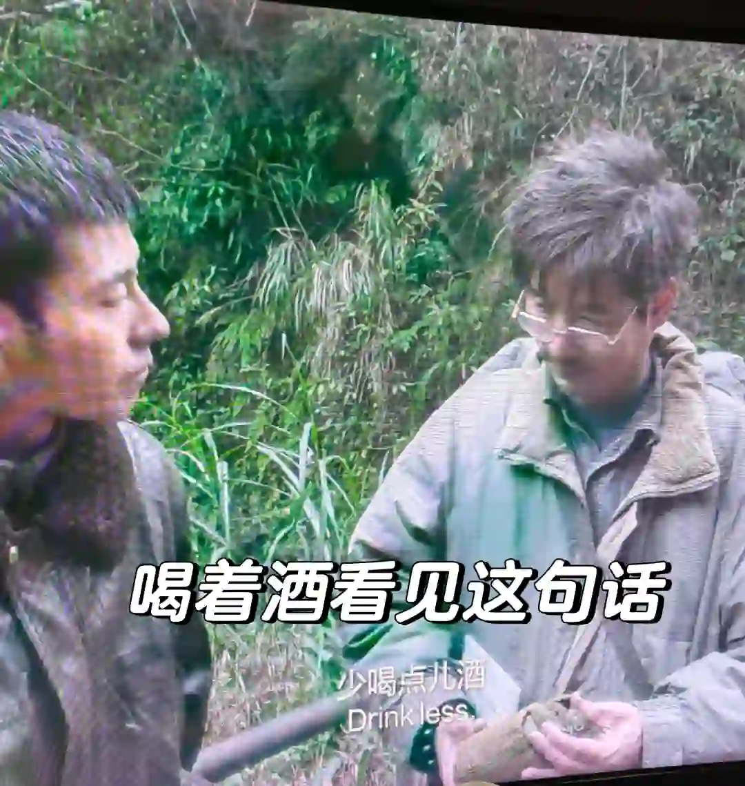 每周电影||宇宙探索编辑部