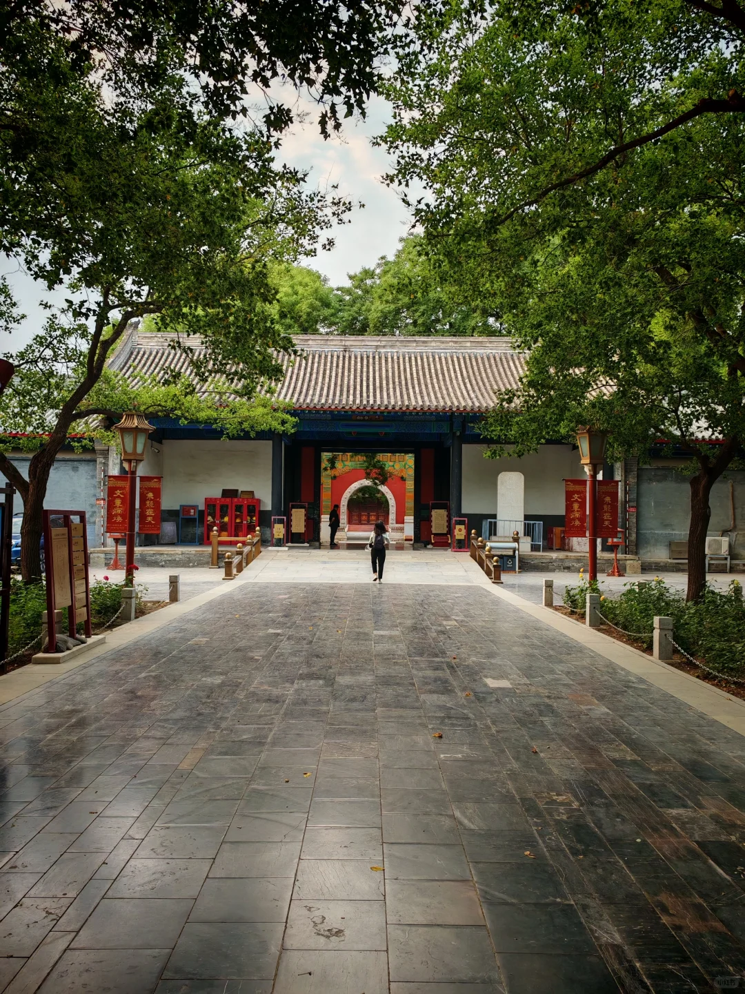 博物馆看电影× 免费逛景点✓