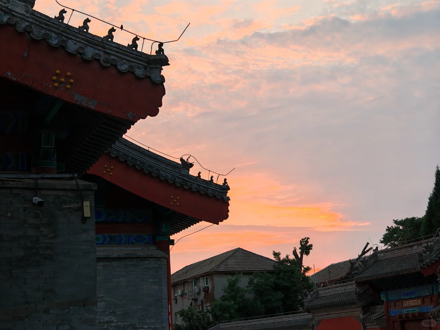 博物馆看电影× 免费逛景点✓