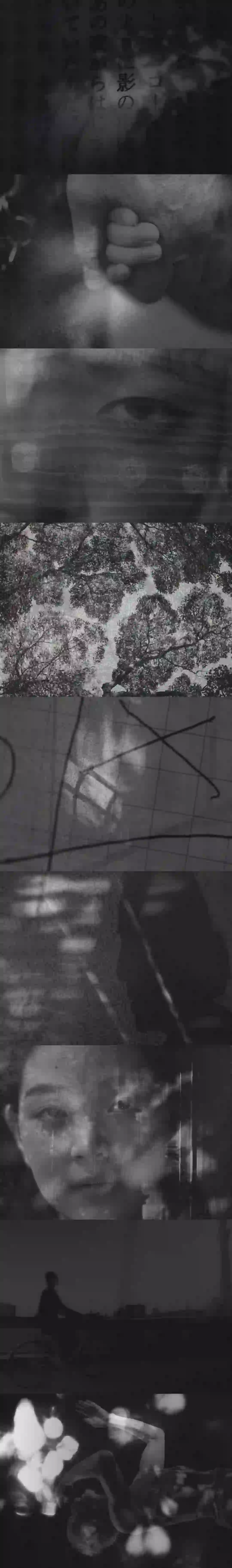 今日电影记录 PERFECT DAY完美的日子