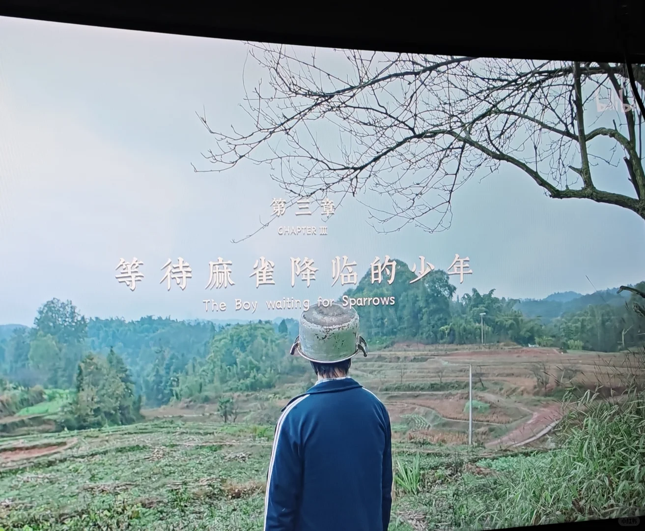 每周电影||宇宙探索编辑部