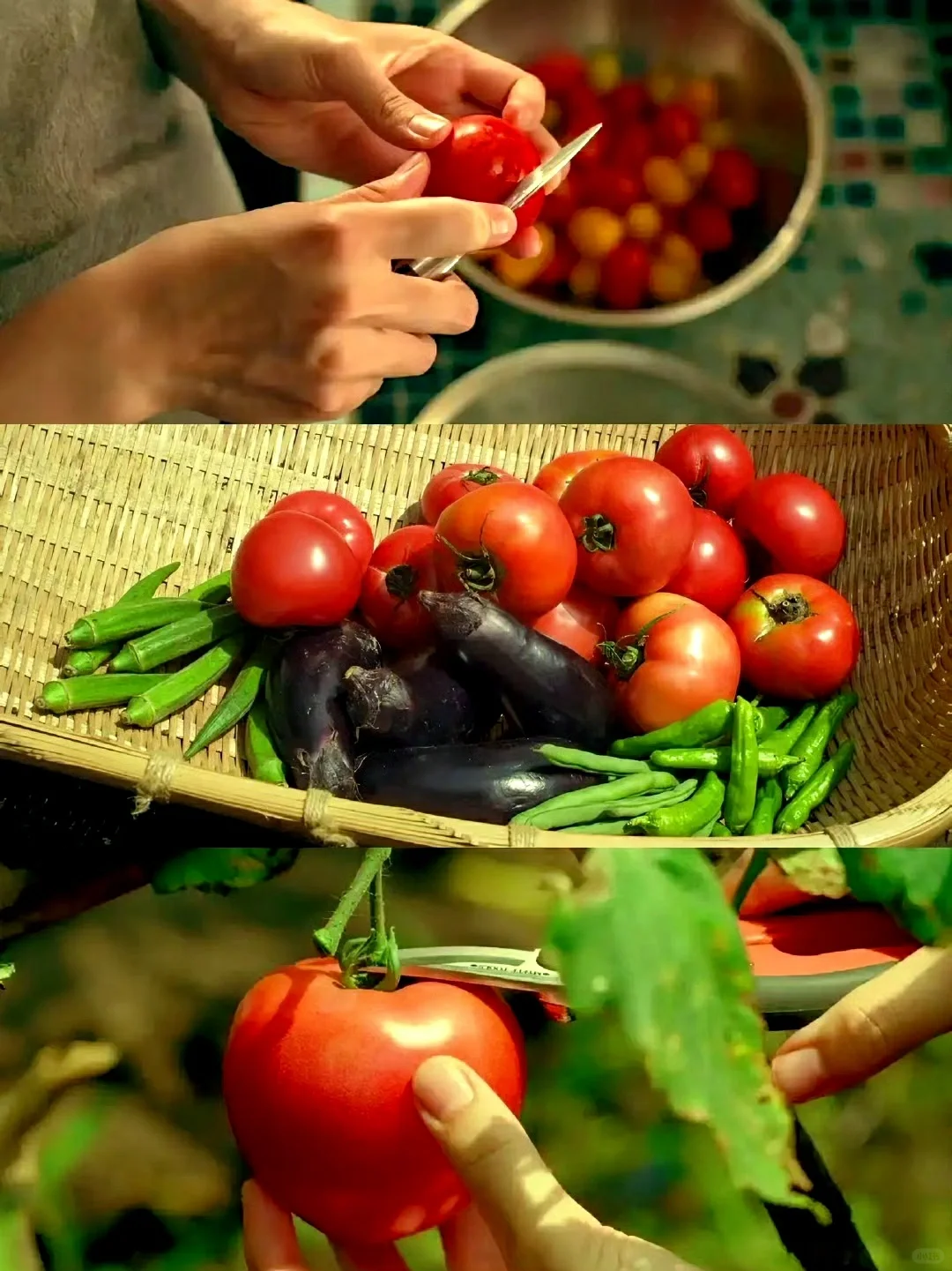 永远也看不腻的一部系列电影...