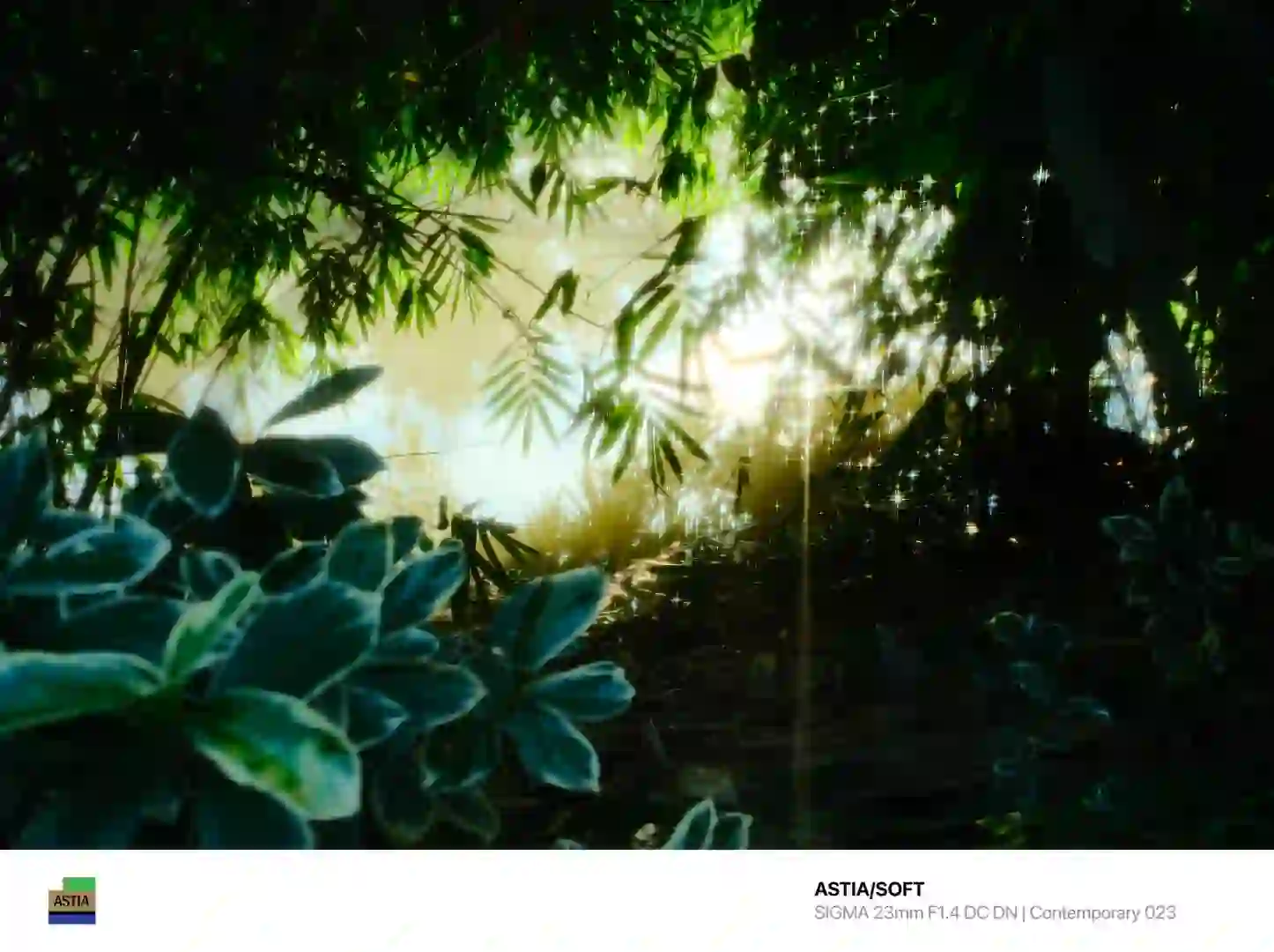 FUJISTYLE——好用的富士app