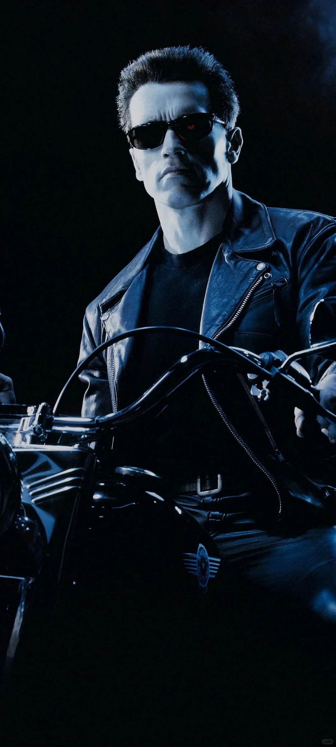 经典电影系列 | 那个是你的最爱？