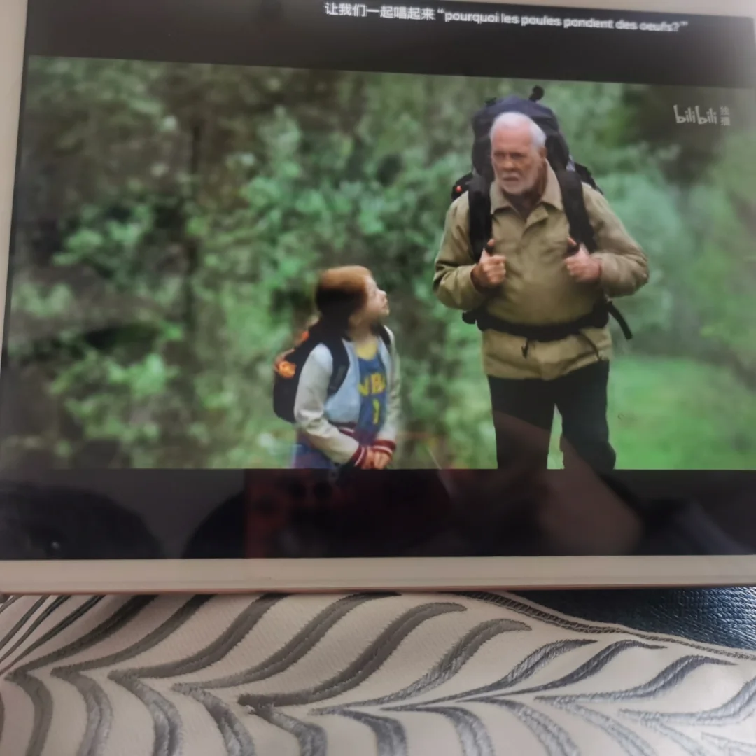 猫猫和电影 之前一直没看的电影