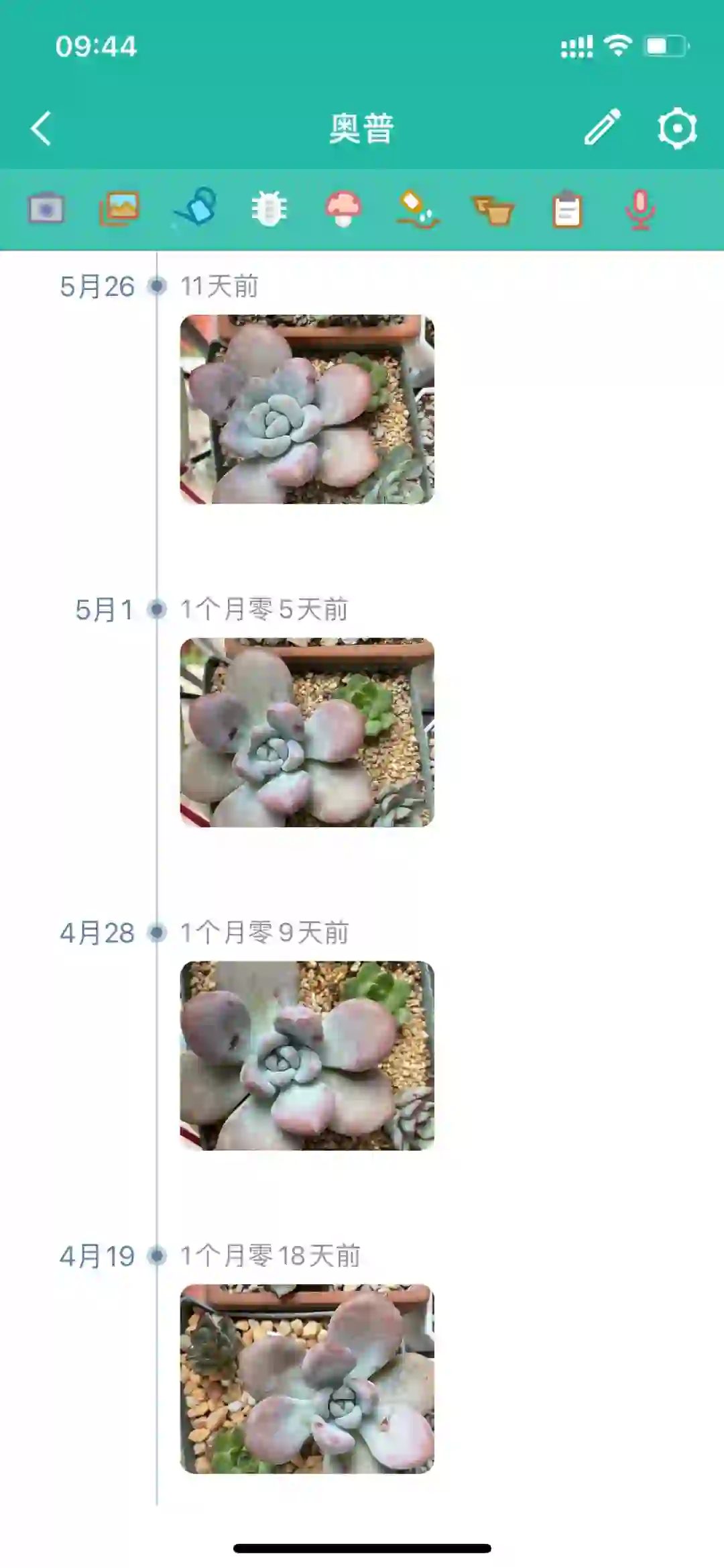 记录肉肉成长的app