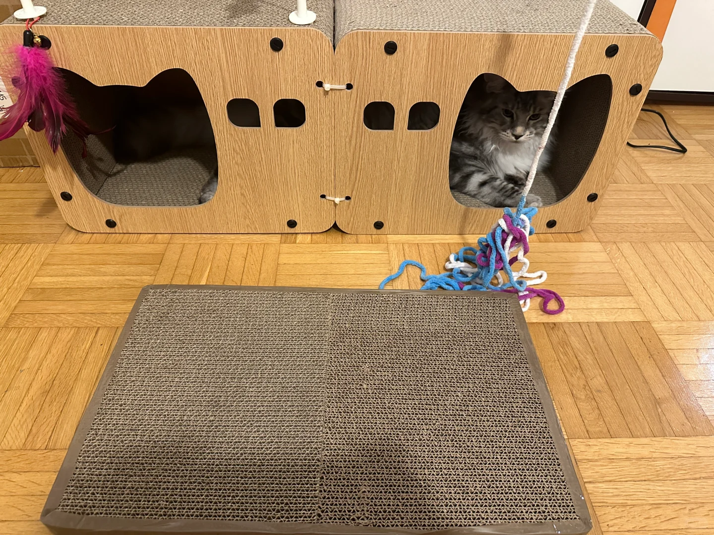 猫咪Tv电视机猫抓盒小改造❤️