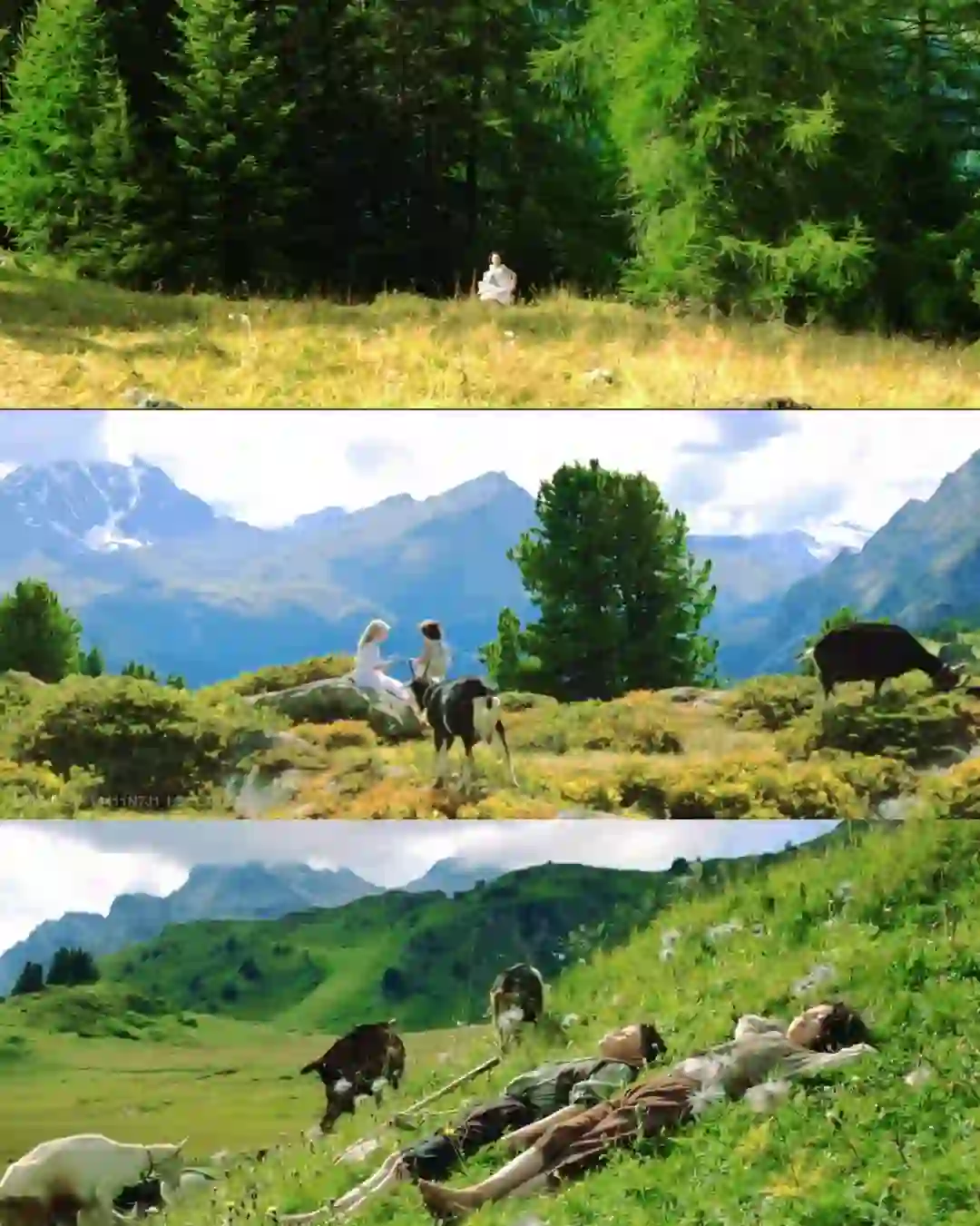 豆瓣9.1分电影🎬推荐‼️治愈心灵的电影❗️