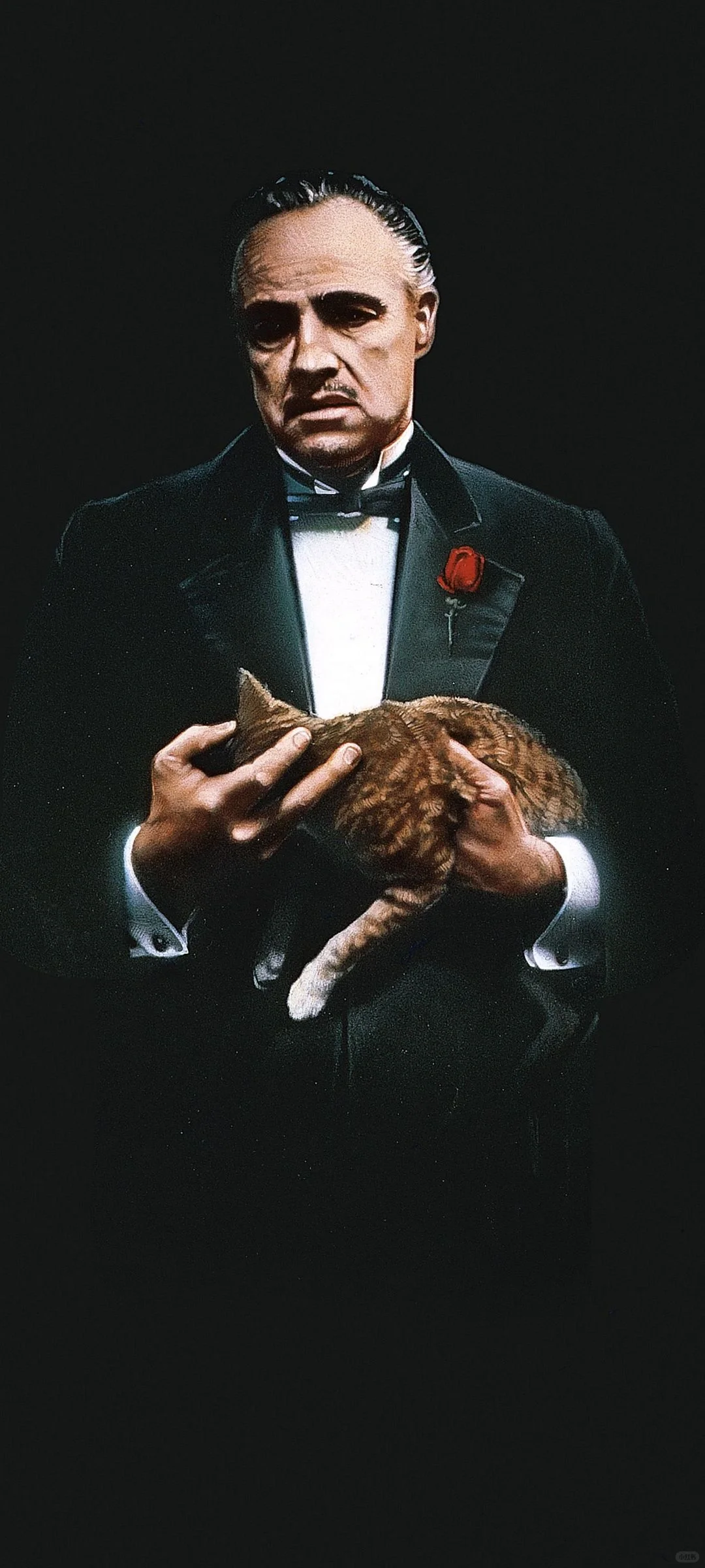 经典电影系列 | 那个是你的最爱？