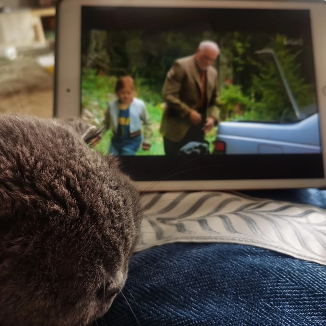 猫猫和电影 之前一直没看的电影