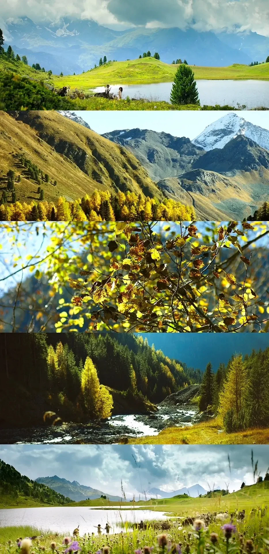 豆瓣9.1分电影🎬推荐‼️治愈心灵的电影❗️