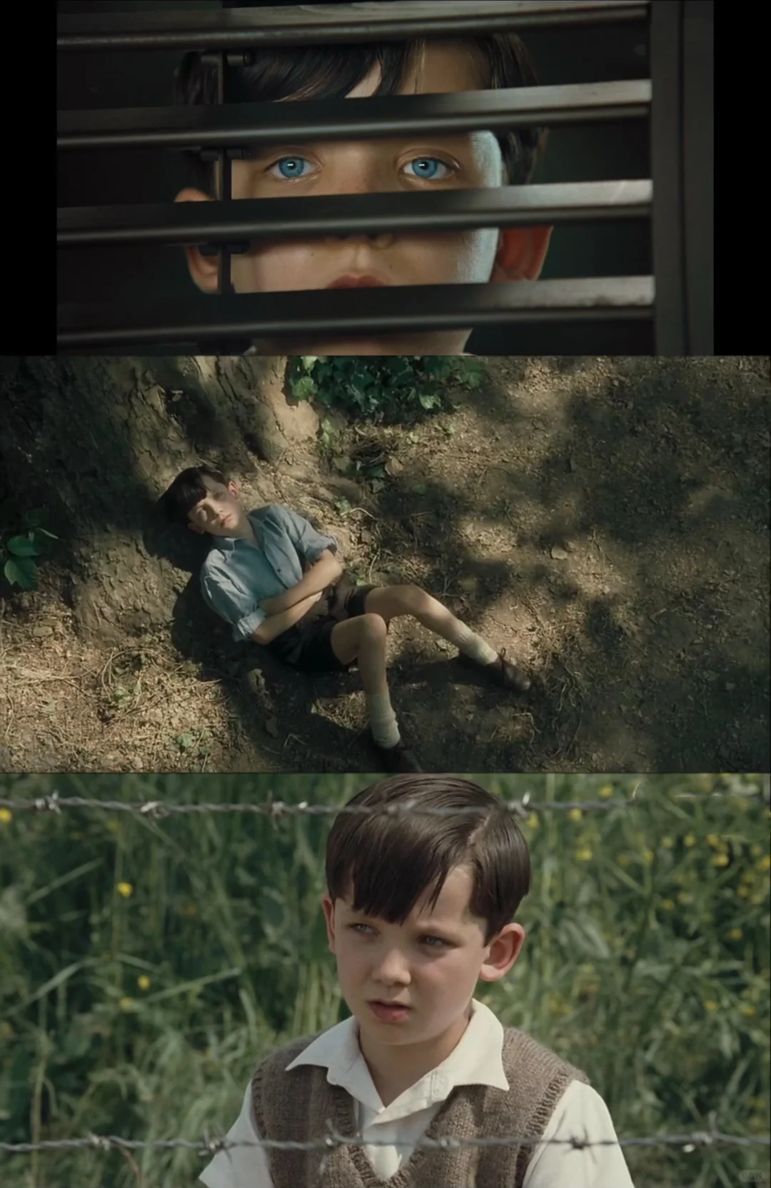 我以为是治愈系电影，没想到是致郁系❗️❗️❗️