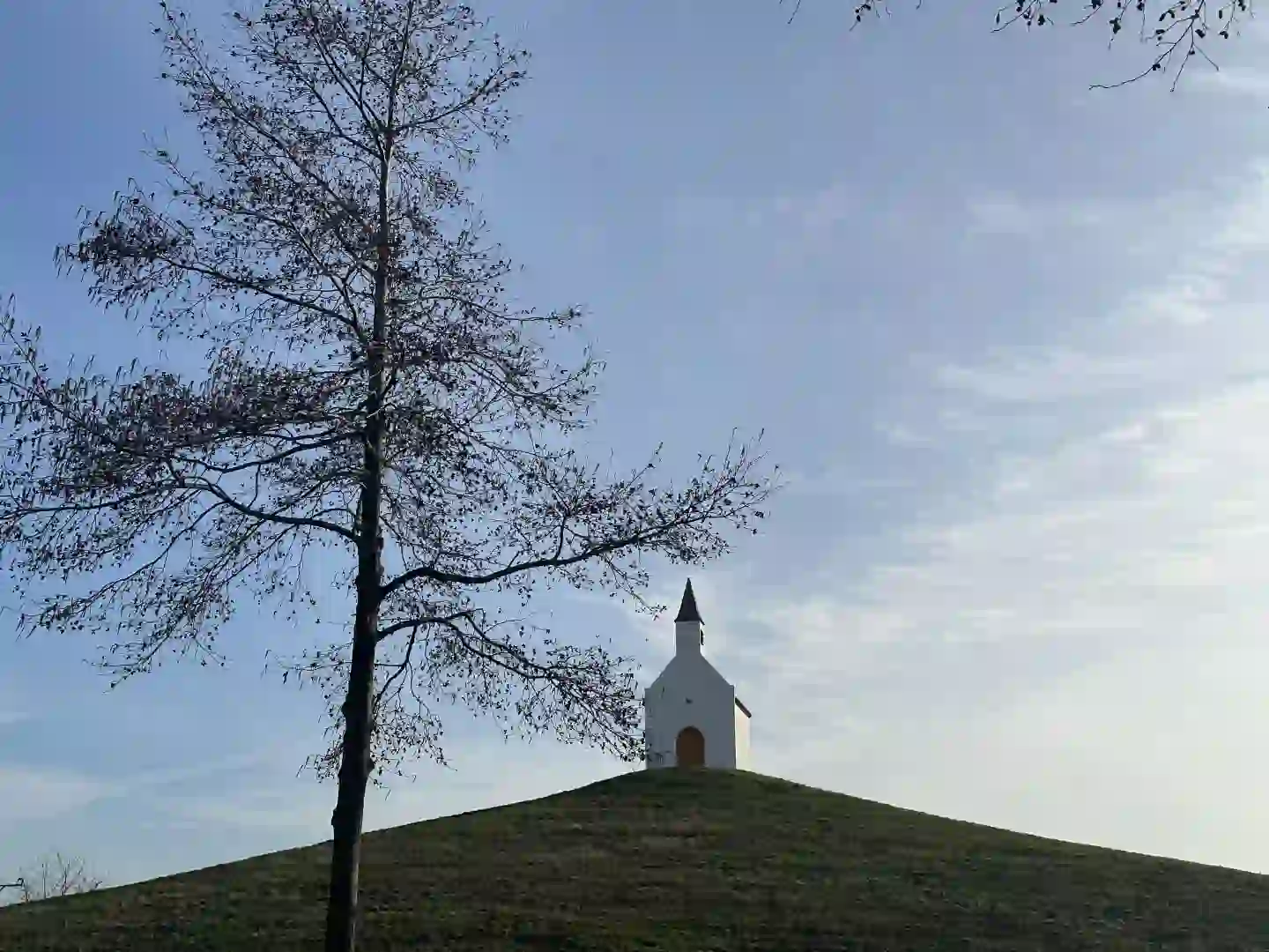 那这些年看过的电影