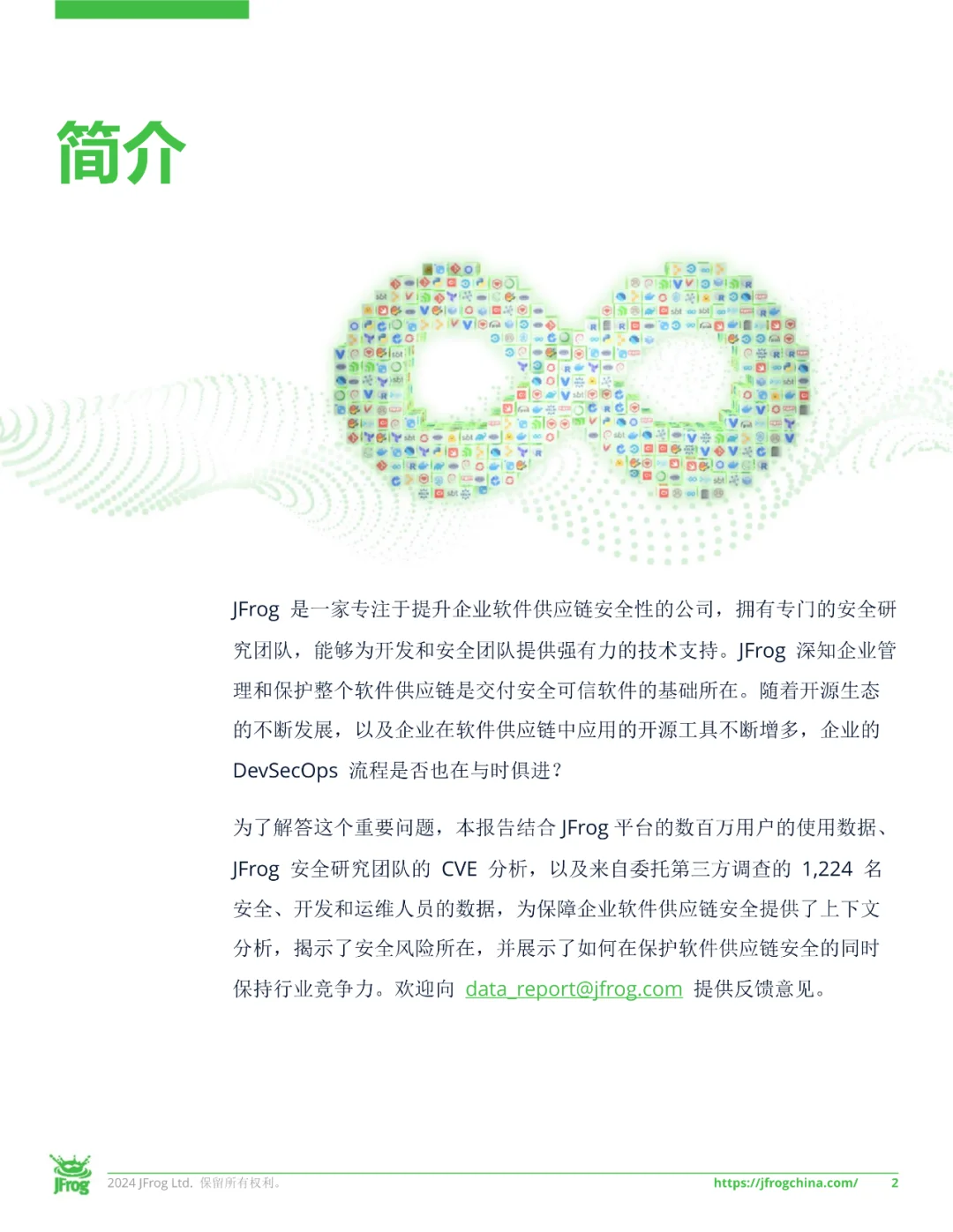 2024年全球软件供应链发展报告