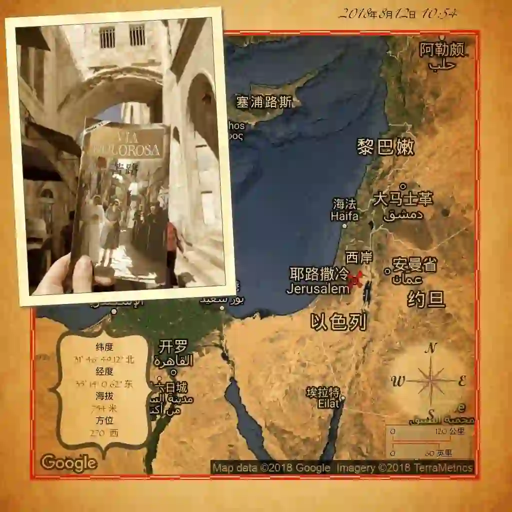 有没有能直接拍照生成图片效果的APP啊？