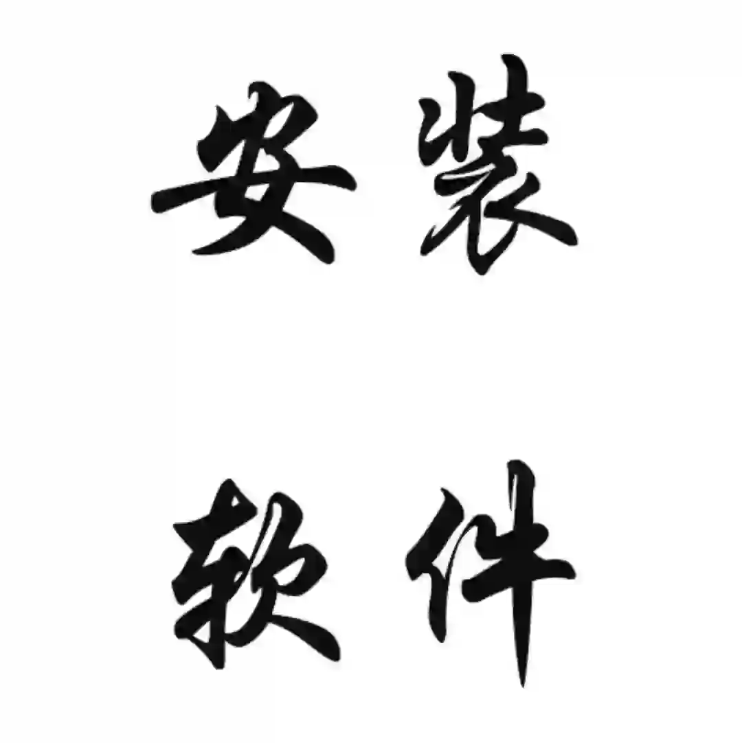 专业安装电脑软件咯！