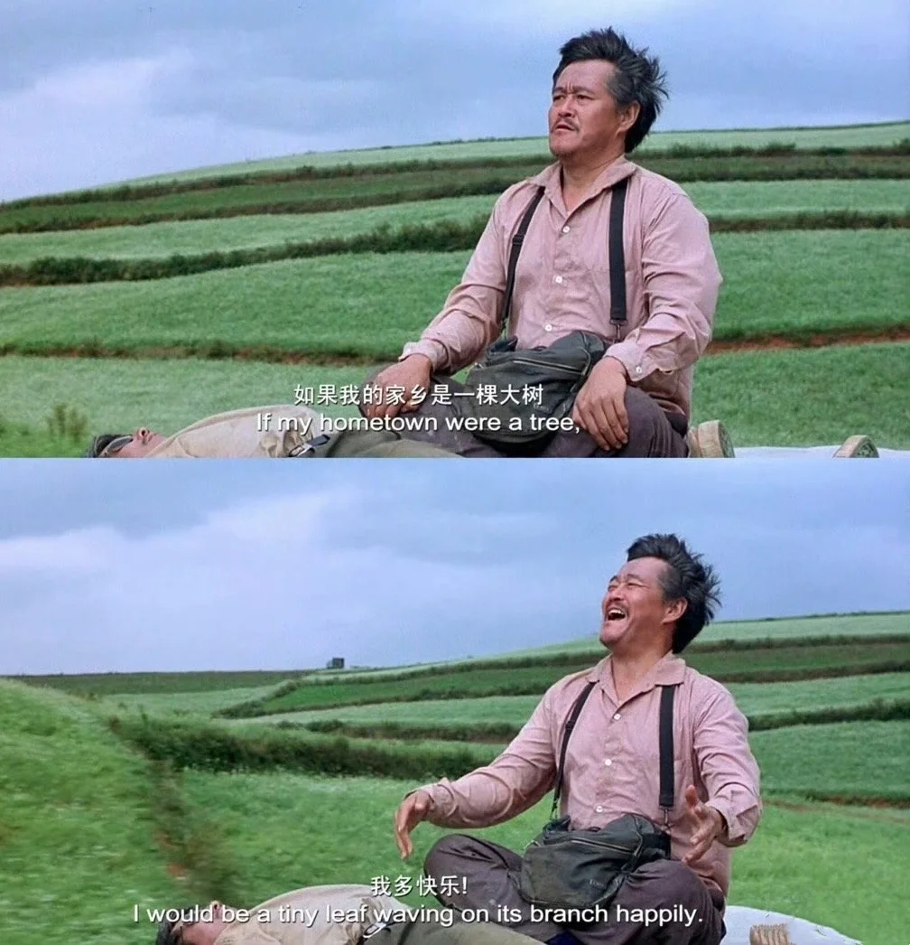 看多少次落叶归根都想哭，国产电影天花板