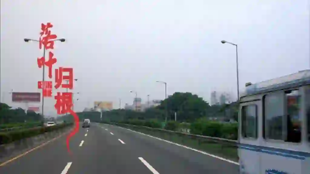 看多少次落叶归根都想哭，国产电影天花板