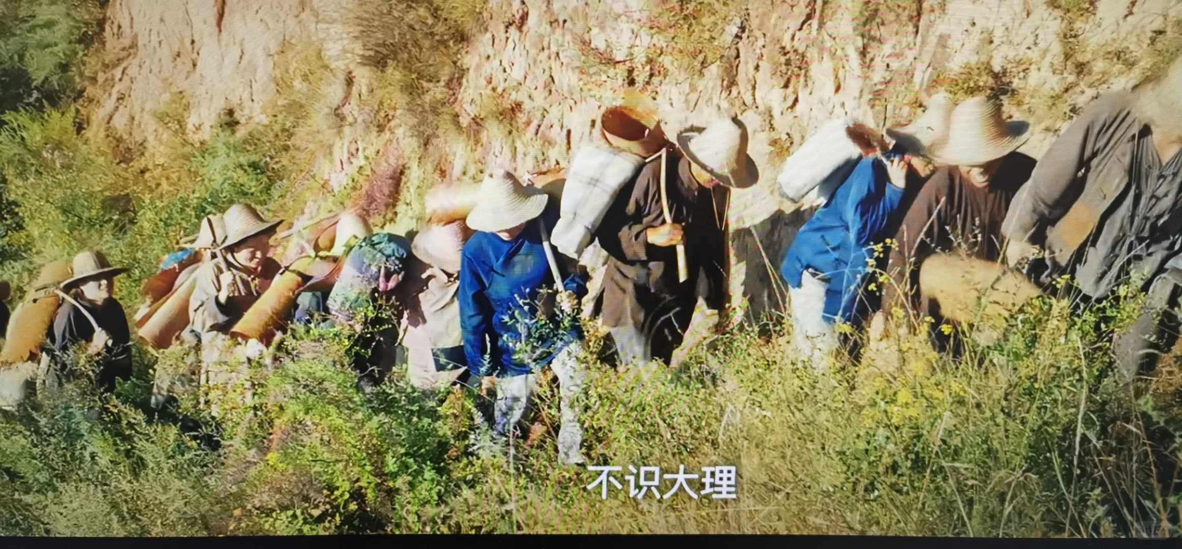 电影《麦客》避坑指南