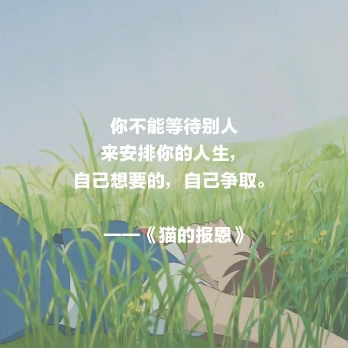 宫崎骏电影里那些治愈人心的句子