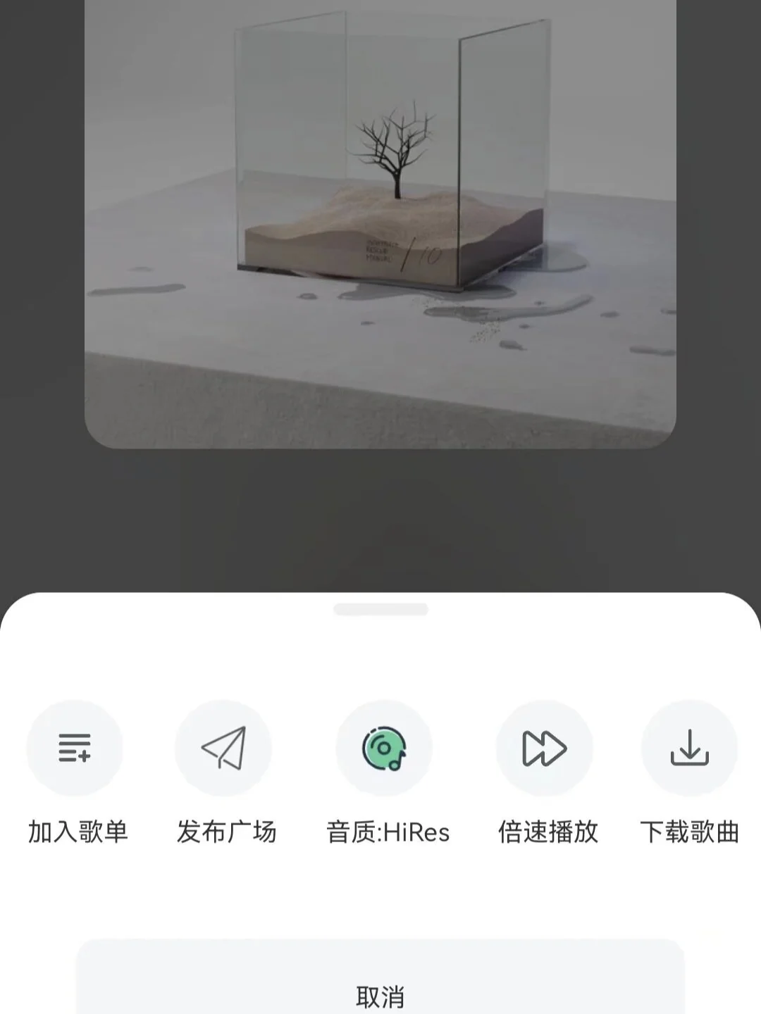 不是音乐会员充不起，是小软件更有性价比