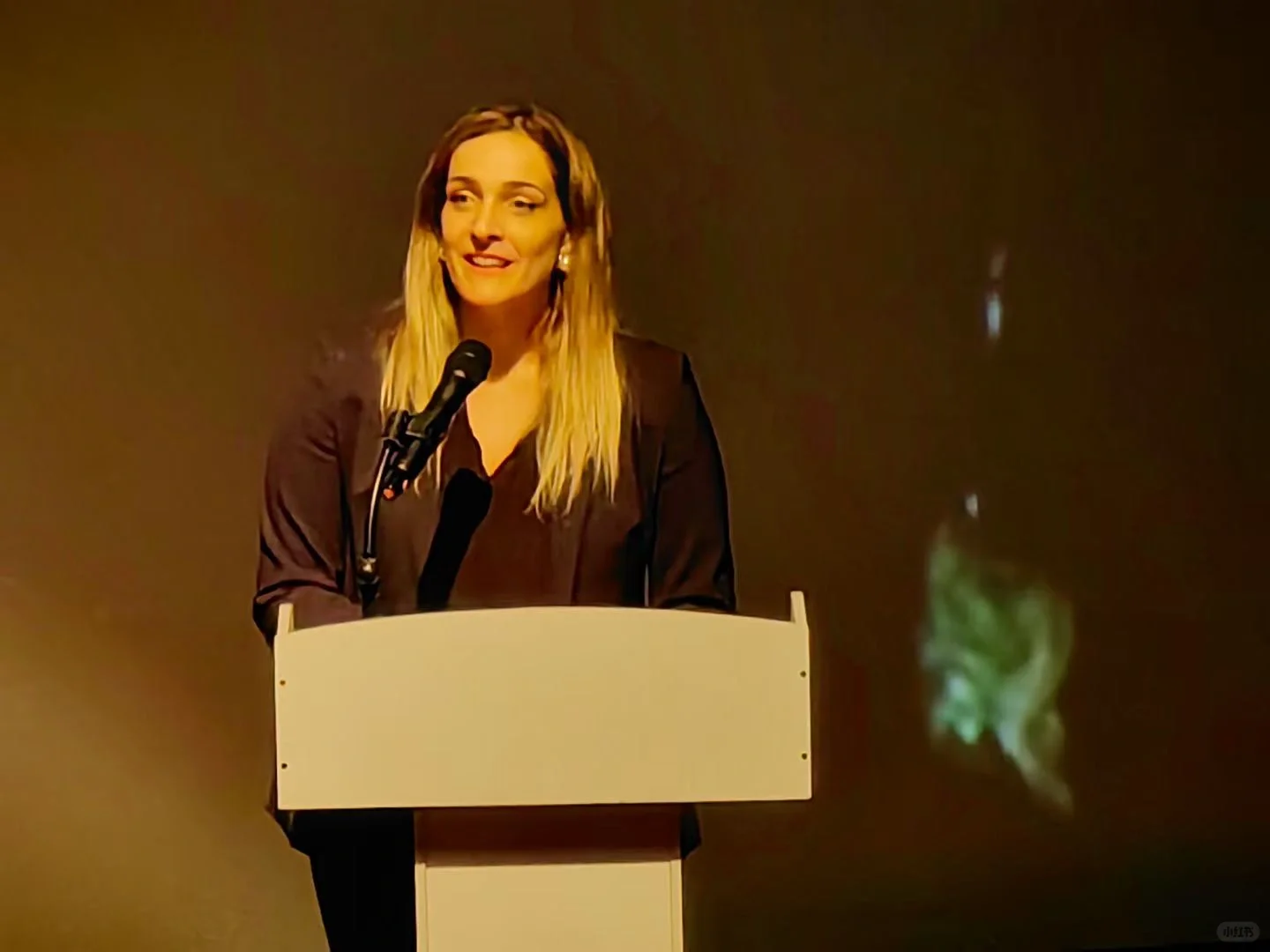 第七届意大利电影文化周开幕仪式