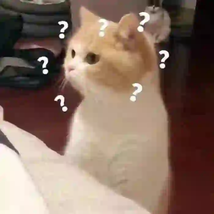 跟交友软件上的男生约吃饭结果他没带钱包