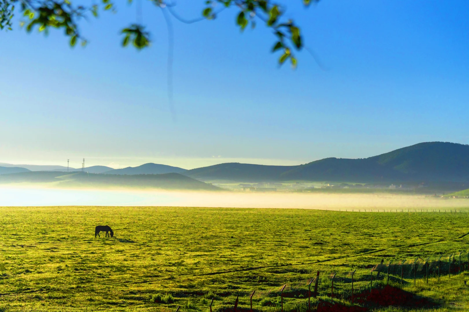 《牧场晨雾》电影里的画面