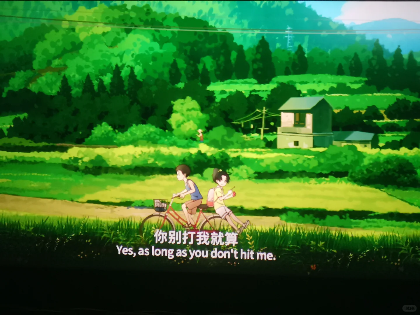 2024/6/23看电影《云边有个小卖部》