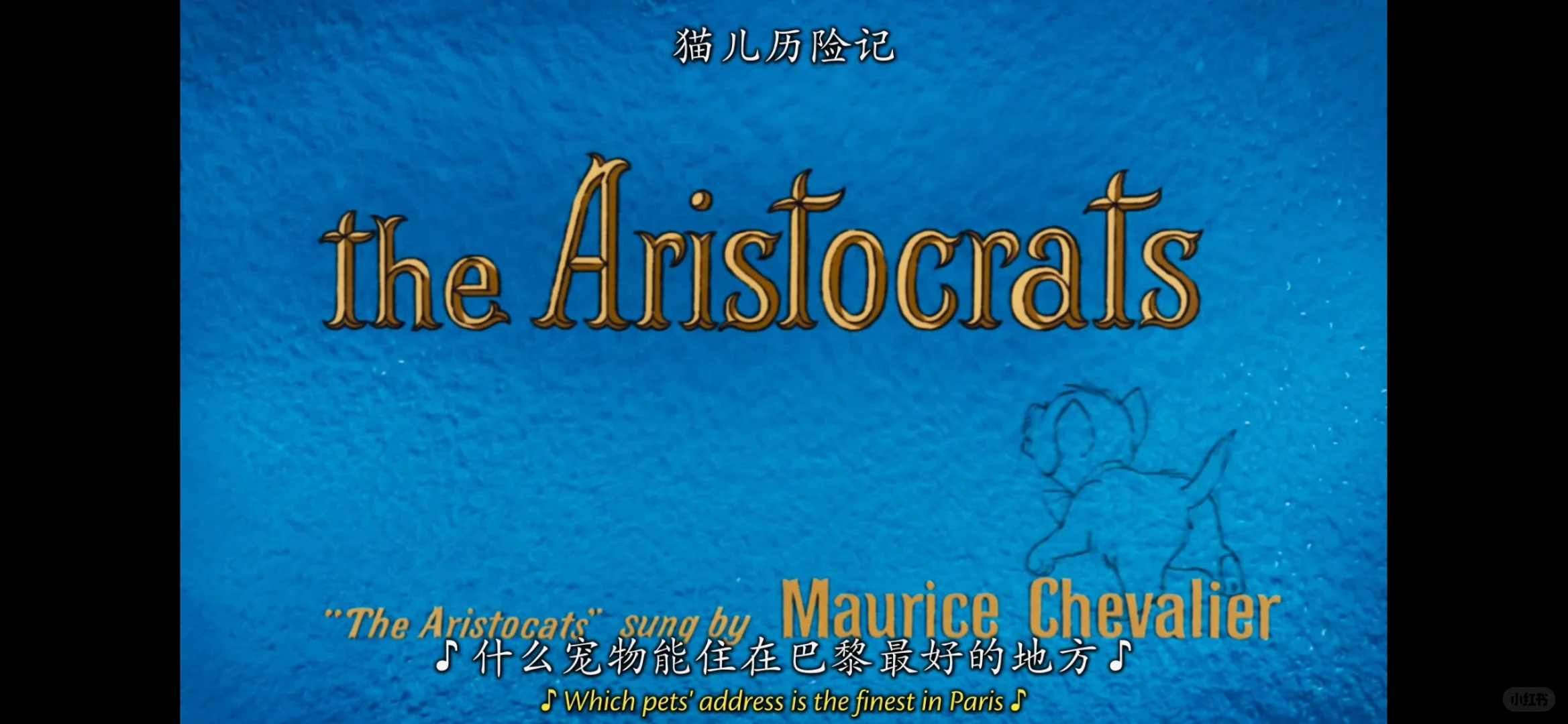 是片头猫咪最多的动画电影吗？