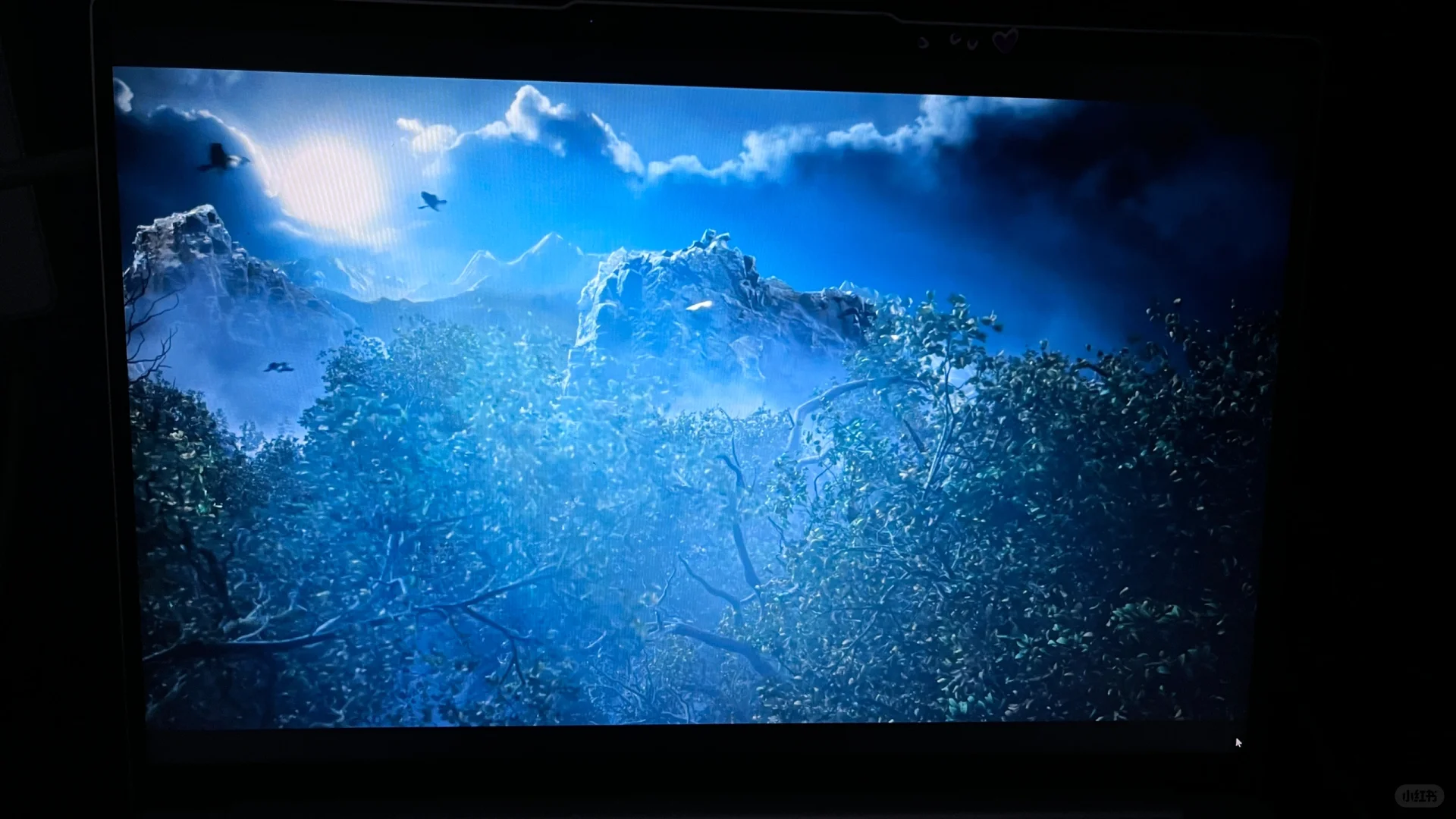 今天也是来分享一个电脑免费看剧软件