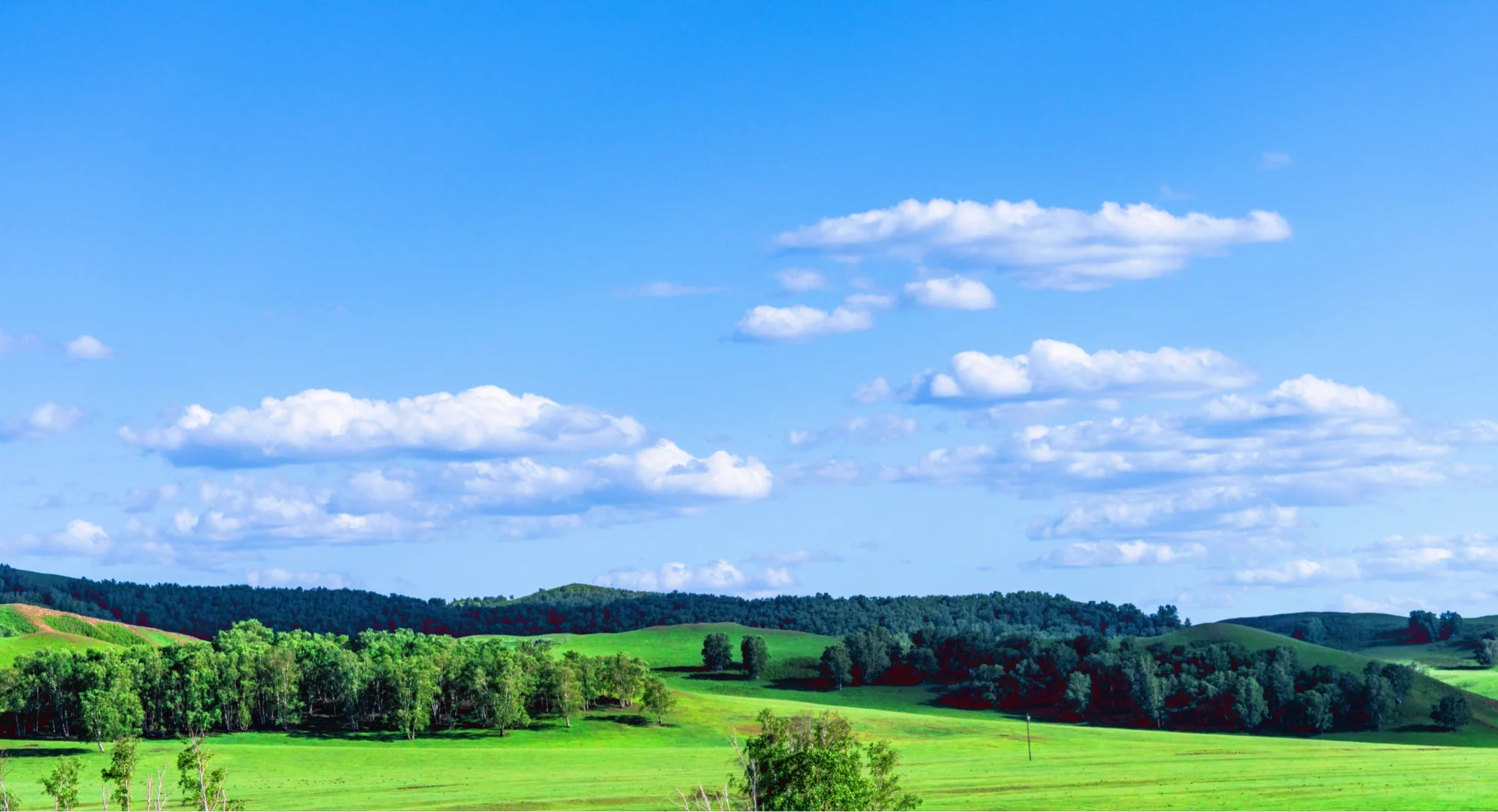 《牧场晨雾》电影里的画面