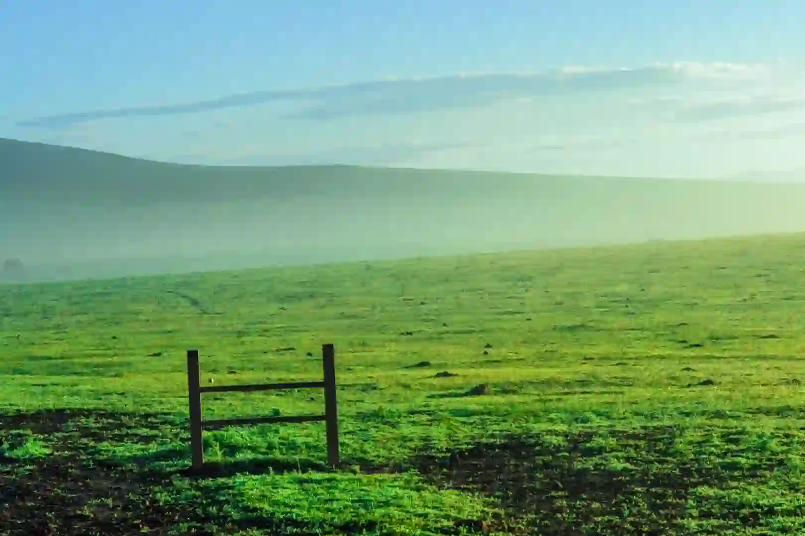 《牧场晨雾》电影里的画面