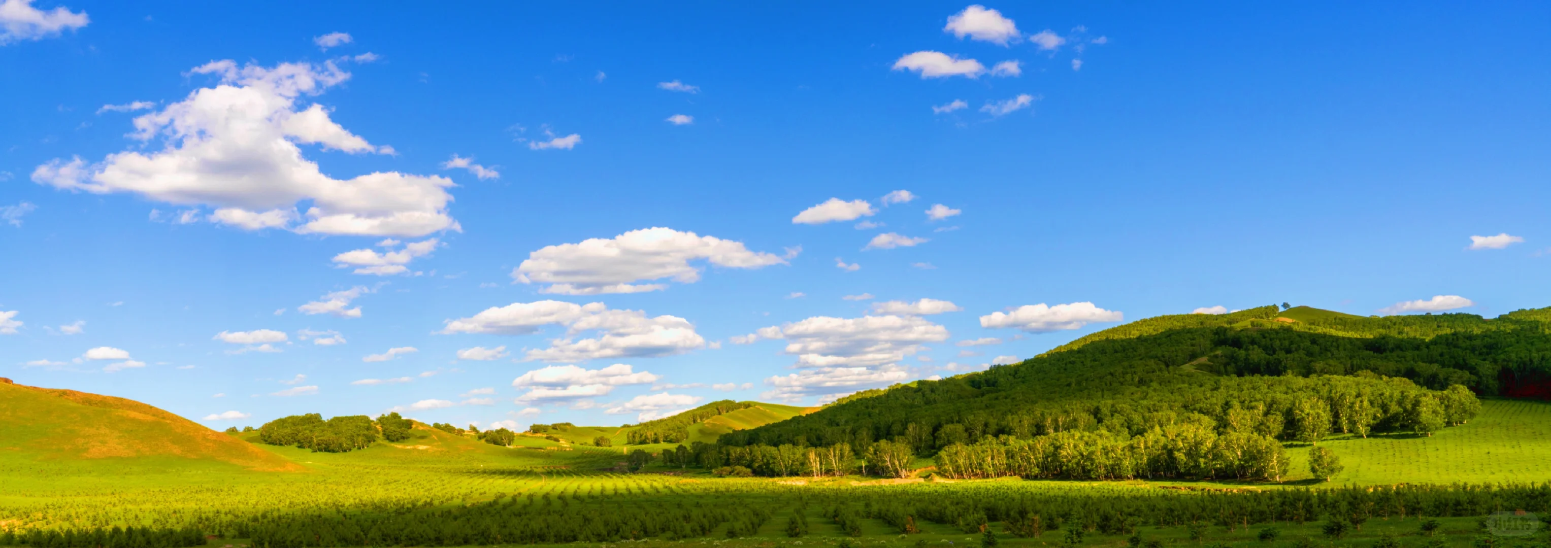 《牧场晨雾》电影里的画面