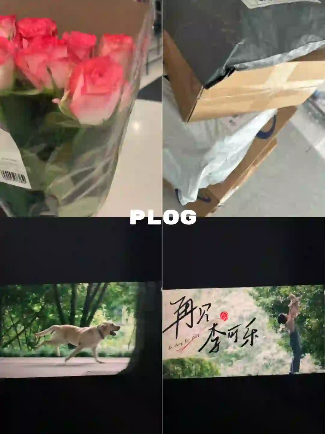 🔙🇬🇧｜倒计时96｜看电影是艺术性躺平⛱️