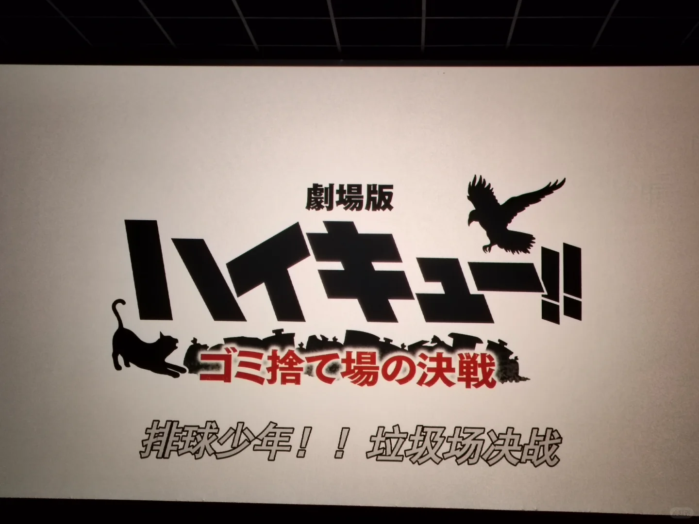 出suga去看小排球电影啦