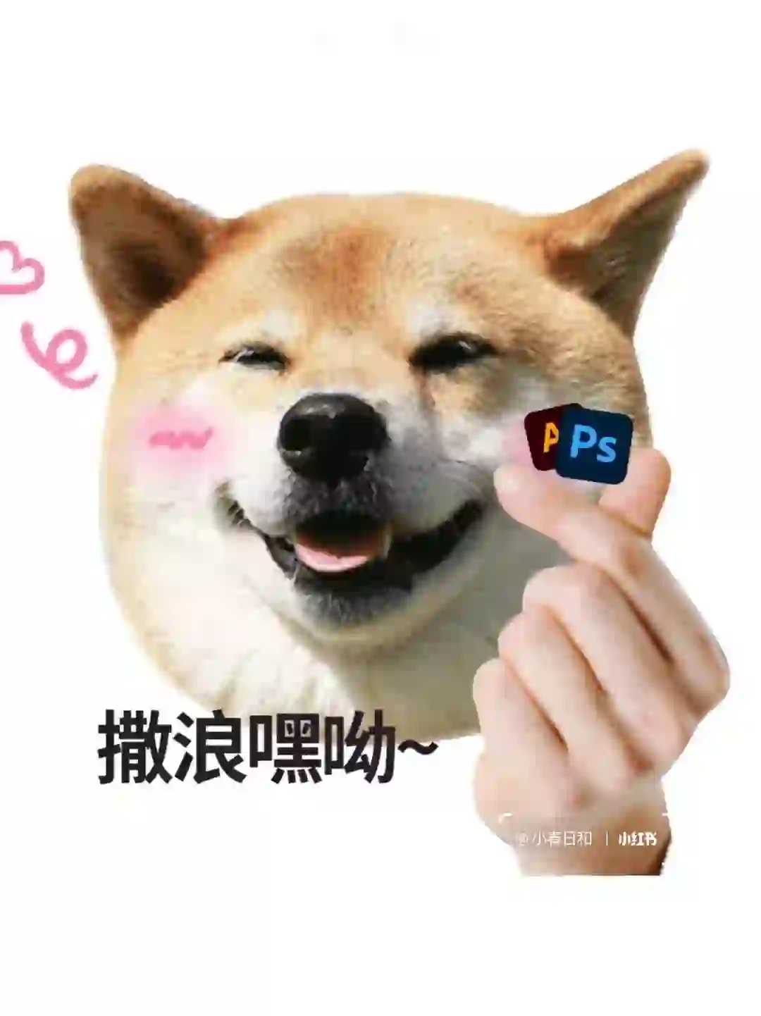 2024ps安装包安装到电脑💻上啦😘😘