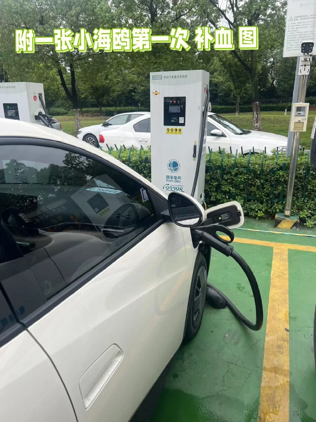 还有不会把电车APP放到桌面的人吗❓