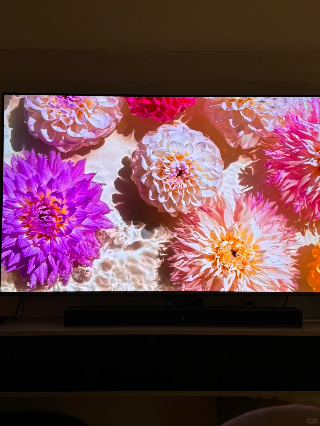 🇲🇾 65寸miniled 电视不到Rm3000!!