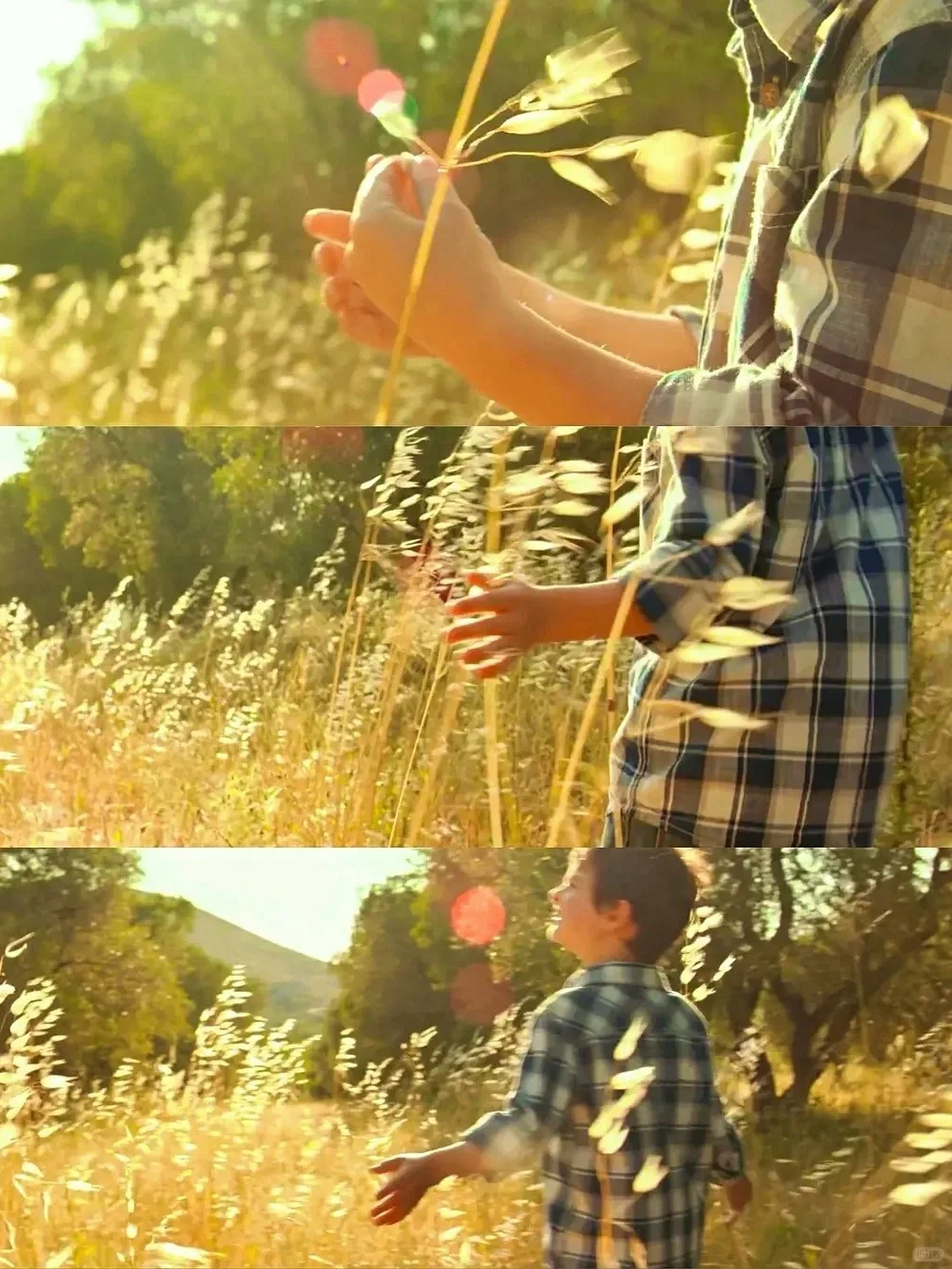 😭这电影为什么没人推荐我看啊‼️