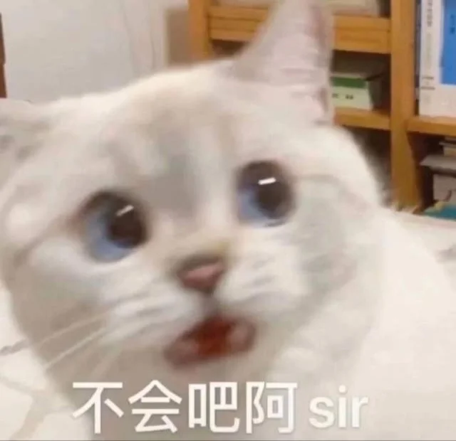 网yy黑胶版、免费追剧app推荐