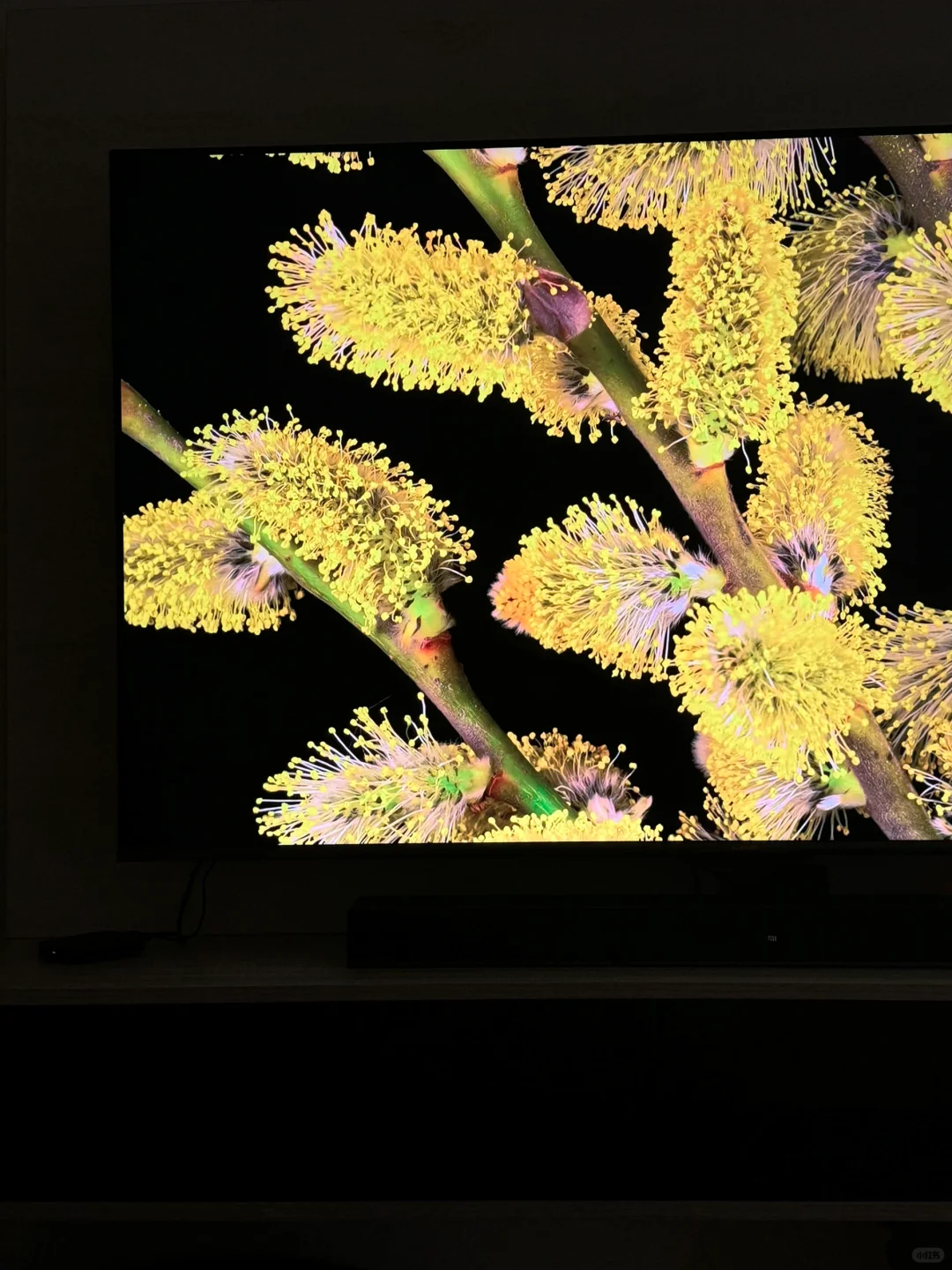 🇲🇾 65寸miniled 电视不到Rm3000!!