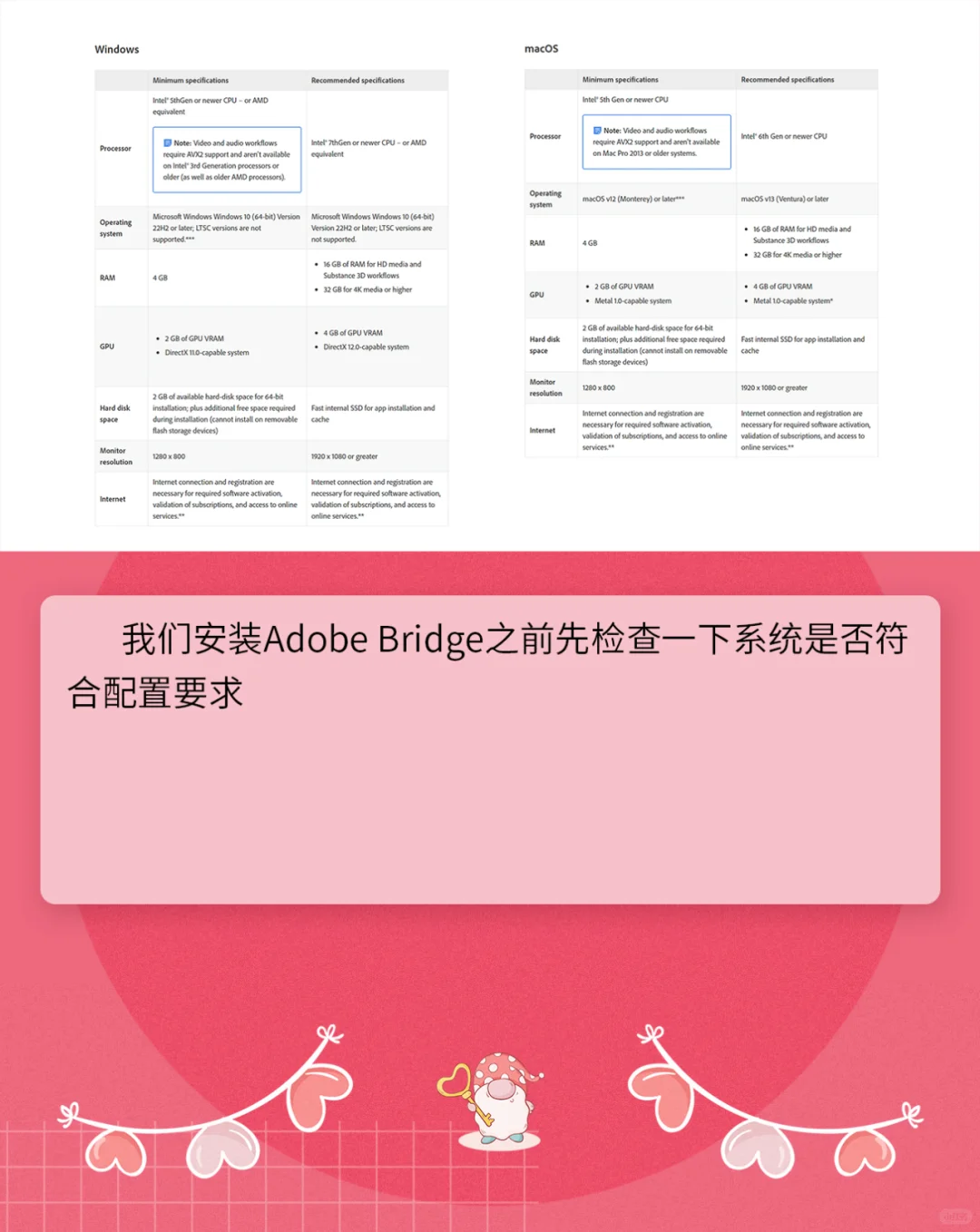 最好Bridge 2024 14.1图片管理软件安装教程