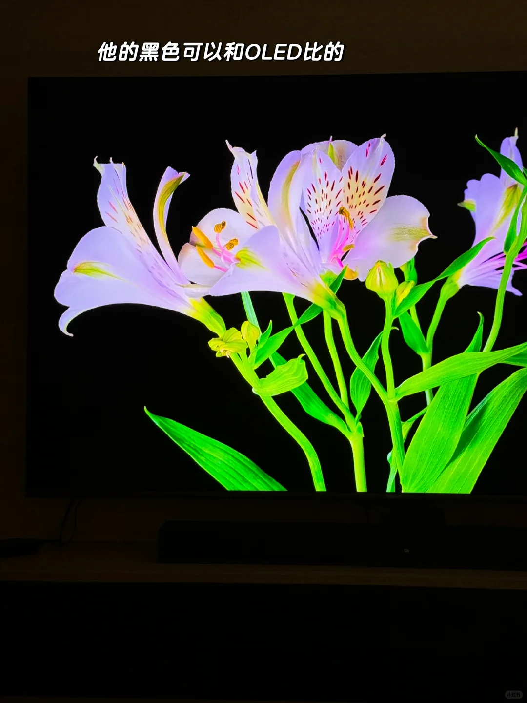 🇲🇾 65寸miniled 电视不到Rm3000!!