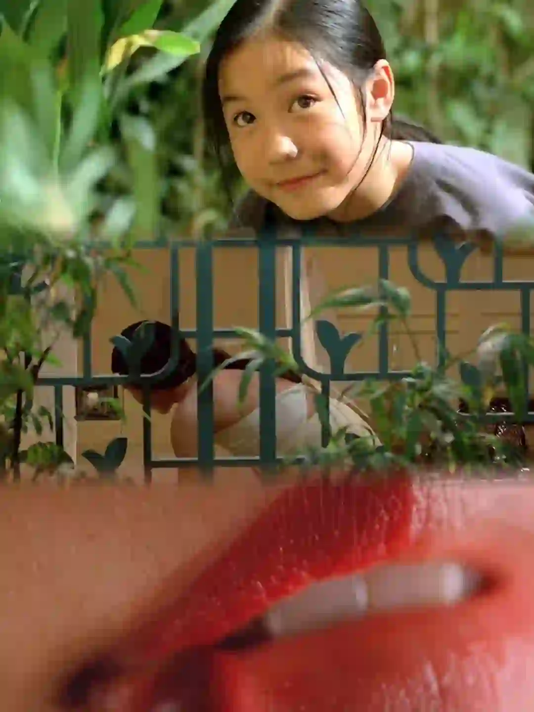 夏日就要来点绿色 植物系电影美学 爱了😘😘