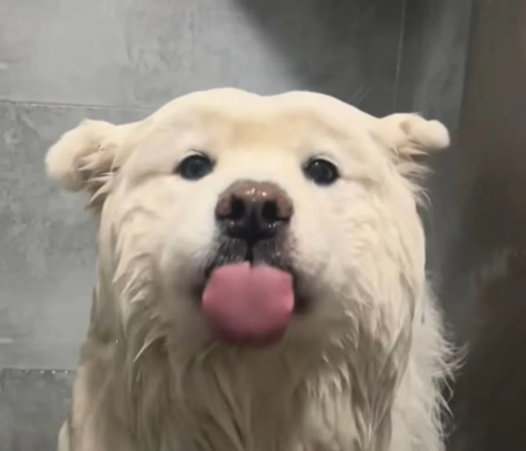 教新生下载新软件学习，期待明天见面