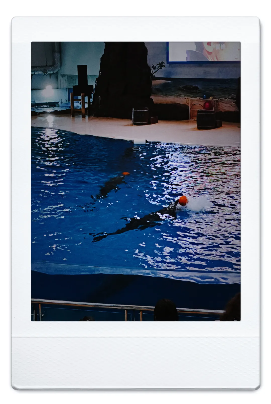 挑战看完100部电影：第5⃣️2⃣️部