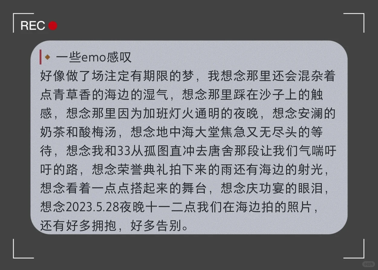 🌊海浪电影周｜在阿那亚的那17天🎦